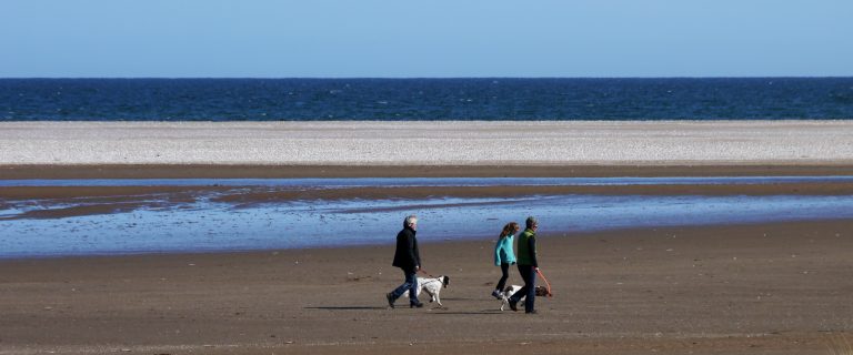 Tentsmuir Sands